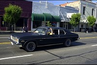 DSC_2568.jpg