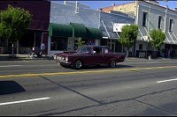 DSC_2572.jpg
