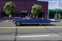 DSC_2584.jpg