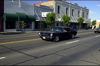 DSC_2594.jpg