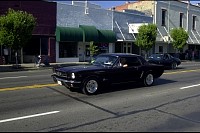 DSC_2595.jpg