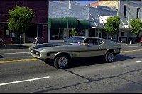 DSC_2598.jpg