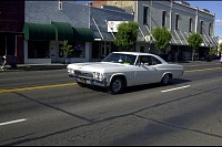 DSC_2602.jpg