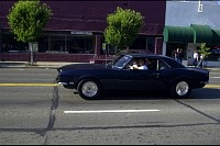 DSC_2709.jpg