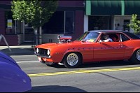 DSC_2784.jpg