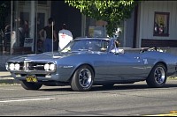 DSC_2839.jpg