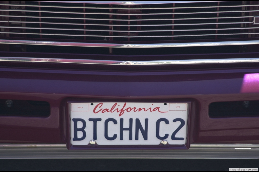 DSC_3341