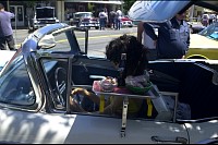 DSC_2967.jpg