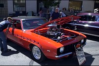 DSC_2982.jpg