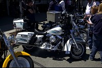 DSC_3036.jpg