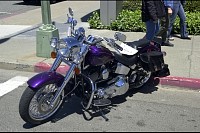 DSC_3108.jpg