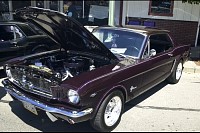 DSC_3137.jpg