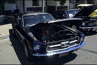 DSC_3139.jpg