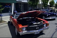 DSC_3146.jpg