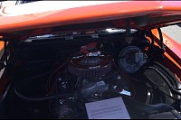 DSC_3148.jpg