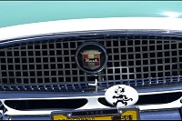 DSC_3166.jpg