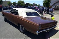 DSC_3176.jpg