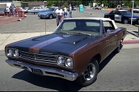 DSC_3179.jpg