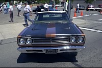DSC_3181.jpg