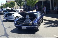 DSC_3296.jpg