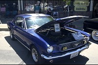 DSC_3297.jpg
