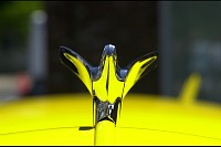DSC_3324.jpg