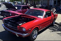 DSC_3335.jpg