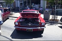DSC_3337.jpg