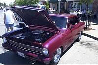 DSC_3338.jpg