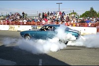 DSC_7724.jpg