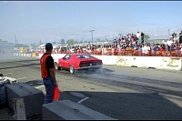 DSC_7767.jpg