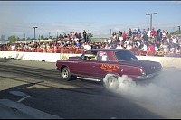 DSC_7808.jpg
