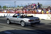 DSC_7830.jpg