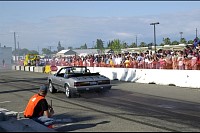 DSC_7831.jpg