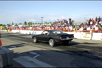 DSC_7837.jpg