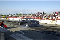 DSC_7838.jpg