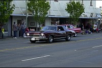 DSC_7884.jpg