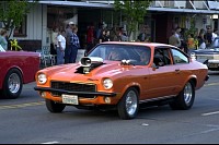 DSC_7936.jpg