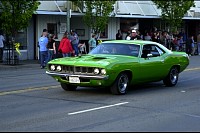 DSC_7946.jpg