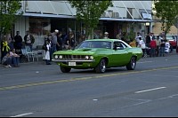 DSC_8111.jpg