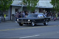 DSC_8113.jpg