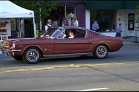 DSC_8186.jpg