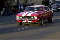 DSC_8219.jpg
