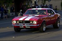 DSC_8220.jpg