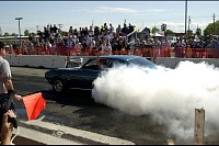 DSC_8290.jpg