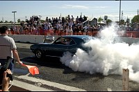 DSC_8291.jpg