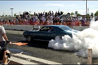 DSC_8292.jpg