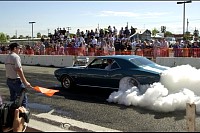 DSC_8295.jpg