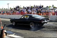 DSC_8317.jpg