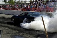 DSC_8361.jpg